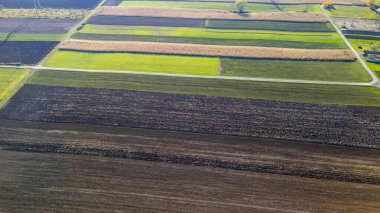 Yeşil kahverengi ve altın da dahil olmak üzere canlı tarımsal alanlar gündüz kırsal alanların güzelliğini gözler önüne seriyor..