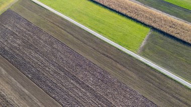 Canlı tarım alanlarının havadan görünüşü, gün ışığında dar bir yolda birbirine karışmış yeşil kahverengi ve siyah toprak parçalarını gösteriyor. Bu da çiftçilik manzarasını gösteriyor..