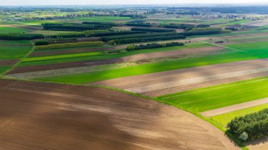 Canlı tarlaların havadan görünüşü, tarım teknikleri ve çevrenin altını çizen kırsal bir ortamda yeşil ve kahverengi katmanlı çeşitli tarım manzaralarını sergiliyor..