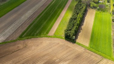 Alternatif yeşil ve kahverengi yamaların yer aldığı tarım alanlarının havadan görünüşü, parlak gün ışığı altında canlı bir kırsal alanla kara sınırlarını çizen ağaçları yemyeşil ediyor..
