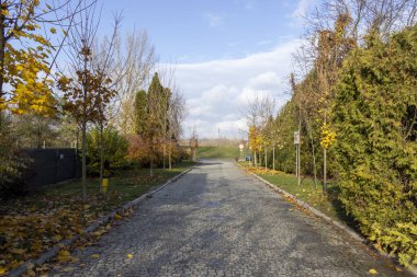 Berrak mavi gökyüzünün altında canlı bir sonbahar yeşilliği ile çevrili sessiz asfaltlı bir yolun manzarası. Barışçıl atmosfer keşif ve rahatlamaya davetiye çıkarıyor..