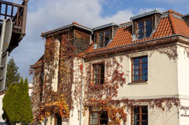 Kazimierz Dolny Polonya - 11 Kasım 2025: Sonbahar sarmaşıklarıyla süslenmiş büyüleyici bir bina açık bir gökyüzüne karşı kırsal mimarisini sergiliyor.