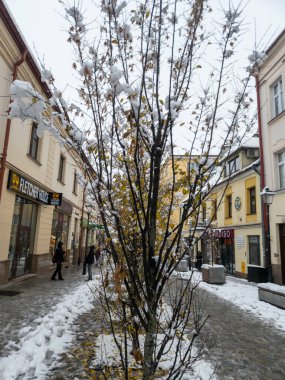 Rzeszow Polonya - 22 Kasım 2025: Karla kaplı çıplak dalları olan bir ağaç, kalabalık bir şehirde insanların kışın özünü yakalayarak yürüdüğü karlı bir sokakta duruyor..