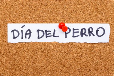 Kağıt üzerinde Dia del Perro yazılı el yazısı köpeklere adanmış bir kutlamayı simgeliyor. Bu not bir mantar panoya iğnelenmiş ve kaba ama anlamlı bir mesaj veriyor..