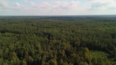 Mikolajki 'nin Masuria' da, yemyeşil ormanlarla çevrili sakin gölleri yakaladığı ve parlak bir gökyüzü altında yüzen teknelerle benekli bir görüntüsü..