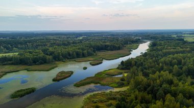 Gün batımında yemyeşil ormanlarda süzülen sakin bir nehrin havadan görünüşü. Huzurlu manzara yeşilin çeşitli tonlarına sahiptir ve yansımaları güzelliğin doğasına işaret eder..
