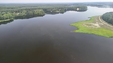 Bereketli yeşilliklerle çevrili sakin sularla çevrili sakin bir göl manzarası orman manzarasını yansıtıyor. Doğa ve açık hava temalı projeler için ideal.