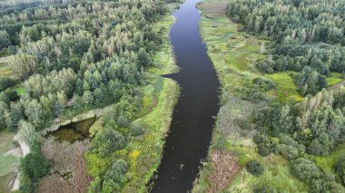 Bereketli yeşil ağaçlar ve renkli bitkilerle çevrili sakin bir nehrin havadan görünüşü. Bu el değmemiş doğal manzara doğa meraklıları için ideal el değmemiş vahşi doğanın güzelliğini gösteriyor..