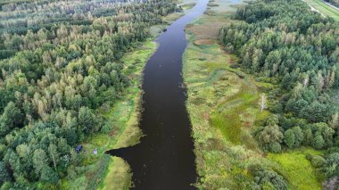 Bereketli yeşil ormanlar ve sulak alanlarla çevrili dolambaçlı bir nehrin havadan görünüşü. Canlı manzara, doğanın huzur ve keşfi çağrıştıran dingin güzelliğini gözler önüne seriyor..