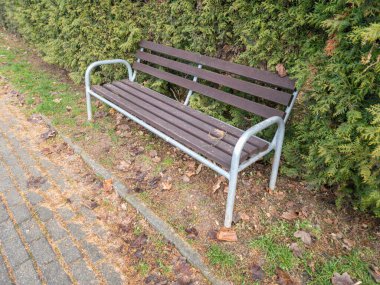 Paslı bir metal park bankı, düşmüş yaprakların ve yeşil çalılıkların arasında sessizce oturur ve şehir ortamlarında rahatlamaya uygun sakin bir açık hava sahnesi yaratır..