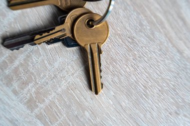 Ahşap bir yüzeyde duran birden fazla anahtarın yakın plan görüntüsü. Bu resim, güvenlik ve lojistik gibi konular için uygun ahşabın dokusunu ve metalin parlaklığını vurgular..