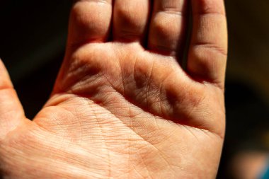 İnsan avucunun yakın plan bir görüntüsü karmaşık deri dokusunu ve doğal ışık altındaki çizgileri yakalıyor ve günlük hayatta insan anatomisi ve el hareketleri üzerine eşsiz bir perspektif sunuyor..