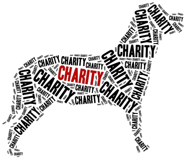 Animals or domestic pets charity. — Stock Photo, Image