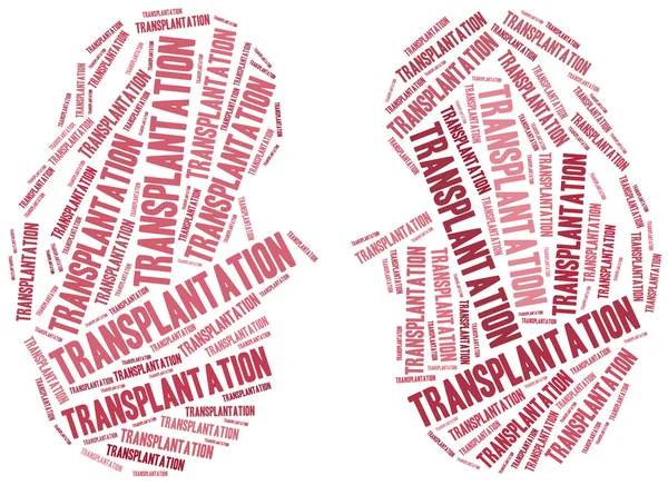 Transplante renal. ilustração nuvem Word . — Fotografia de Stock