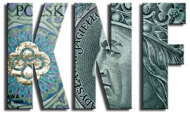 Mali denetim kuruluna ilgili kısaltma.