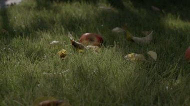 düşen elma ağır çekim