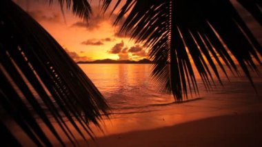 tropikal plaj renkli günbatımı