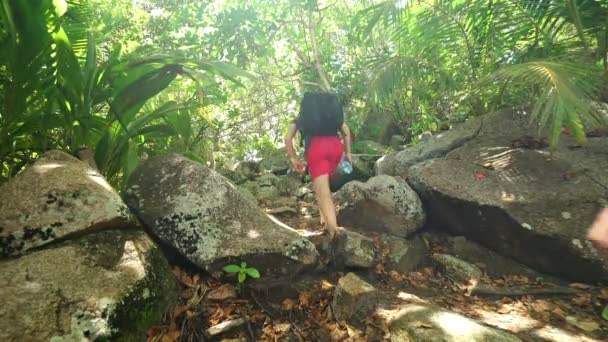 Senderismo en el bosque de islas tropicales — Vídeo de stock