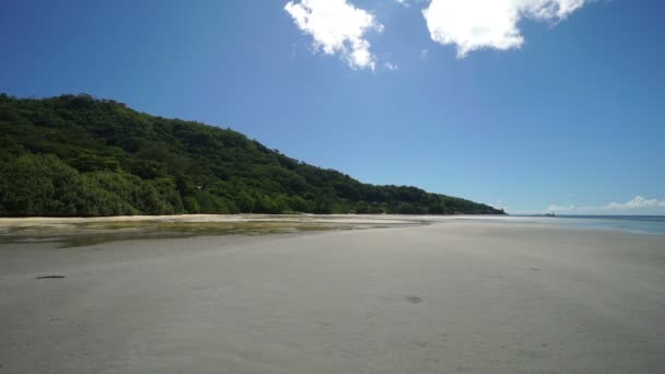 Plage de sable fin sur l'île — Video