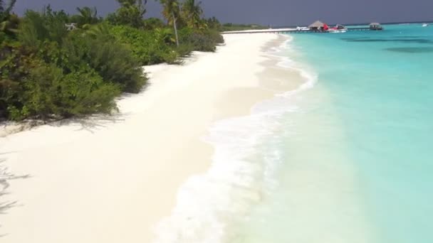 Tropik cennet üzerinde uçan — Stok video