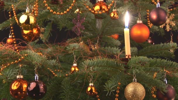 Vánoční strom na černém pozadí — Stock video