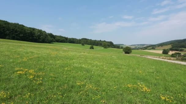 Pradera verde en verano — Vídeo de stock