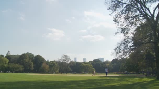 View on central park — Stock Video