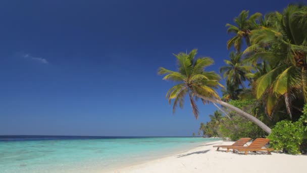 Día perfecto en la playa — Vídeos de Stock