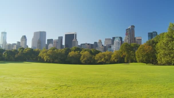 Hermosa mañana en parque pan tiro — Vídeos de Stock