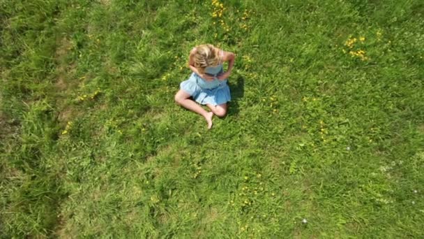 年轻孕妇在草地上 — 图库视频影像