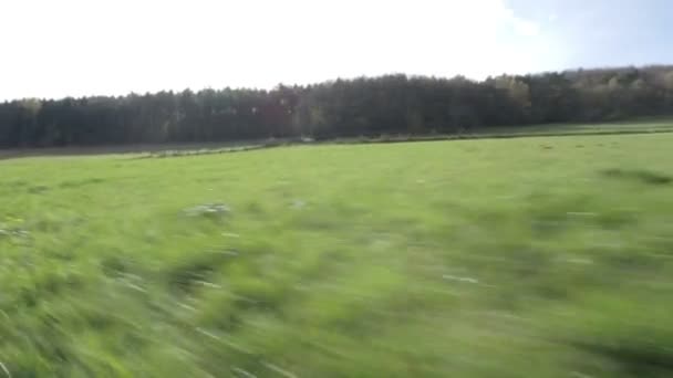 Hond loopt naar eigenaar — Stockvideo