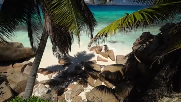 Granit rocks and palmtrees — Stock Video