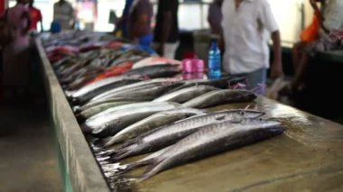 taze balık Balık pazarında