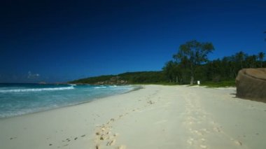 tropikal kumsalda yürüyüş