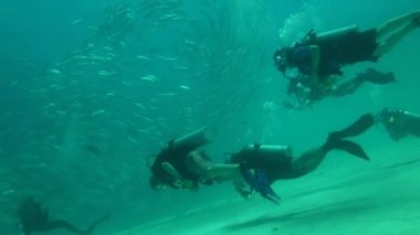 dalgıçlar balık Shoal dalış