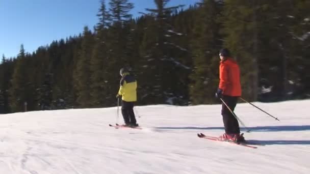 Skiers against the sun — Stock Video