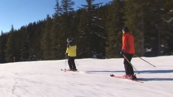 Skiërs tegen de zon — Stockvideo