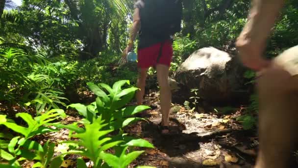 Senderismo en el bosque de islas tropicales — Vídeo de stock