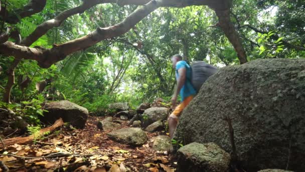 在热带岛屿森林徒步旅行 — 图库视频影像