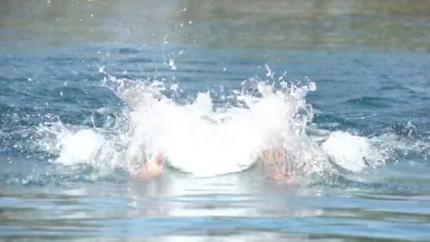 Nuotatore farfalla al rallentatore — Video Stock