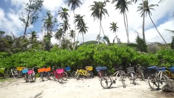 Bicicletas en la isla tropical — Vídeos de Stock