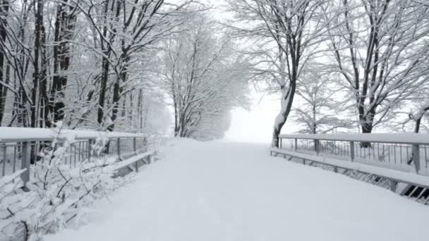 Sneeuw bedekt pad over brug in de buurt van winter forest — Stockvideo