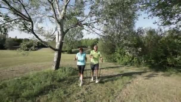 Para spacerująca odkryty — Wideo stockowe