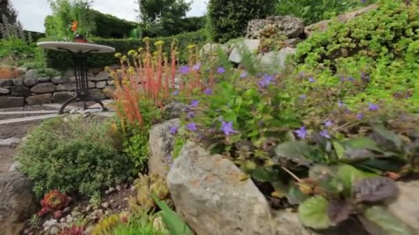 Beautiful european garden — Stock Video