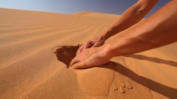 mains enterrant des dollars 