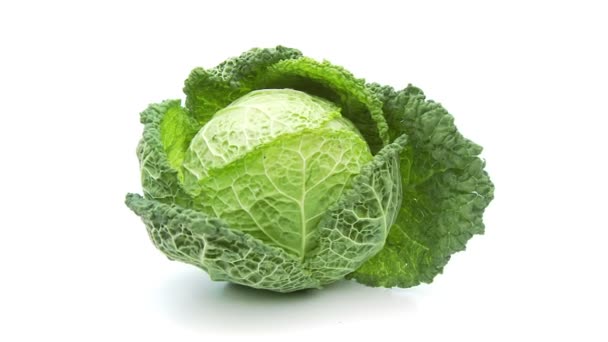 Cabbage isolated on white — Stock Video