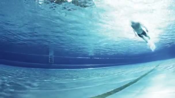 Underwater view of butterfly swimmer — Stock Video