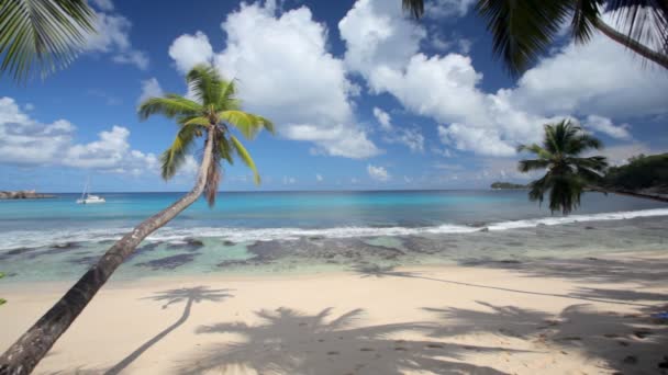 Hermosa playa con palmeras — Vídeos de Stock