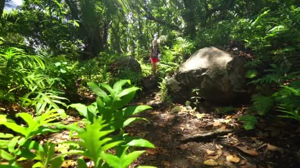Senderismo en el bosque de islas tropicales — Vídeo de stock