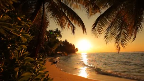 Kleurrijke zonsondergang op tropisch strand — Stockvideo
